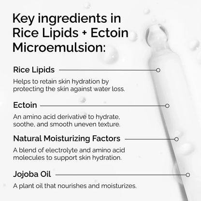THE ORDINARY Rice Lipids + Ectoin Microemulsion Moisturizer for Dry Skin