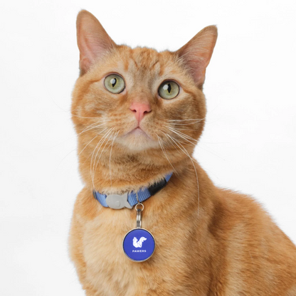 PawTag™ Smart Pet Tracker